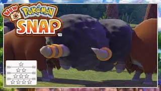 Bisofank / Bouffalant alle 4 Sterne / all 4 stars | New Pok&eacute;mon Snap