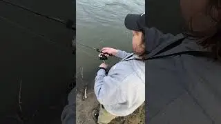 Golden Catch Wanderer. На річці Дністер