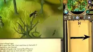 arrow elite clue scroll canafis