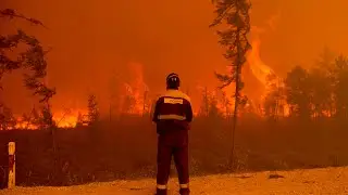 Arctic heatwave was behind Siberia wildfires: WHO | 