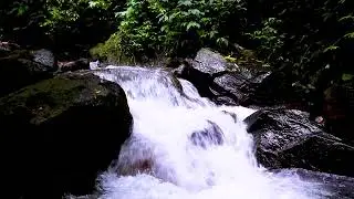 Mountain River Flowing Water Sounds to Ease Stress, Calm Nature White Noise