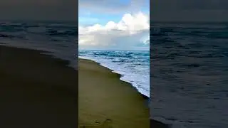 Calm Ocean Shore | Gentle Waves ASMR 🌴🌊 #waves #beach #travel #ocean