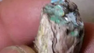 Virgin Valley Opal Twig