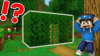 Only 1% of Players Can Find Secret Hidden Base in Minecraft challenge by Lucas Craft