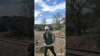 sierra de Huelva ( Repilado) Marzo 2023...!! ☘️🌱🟢