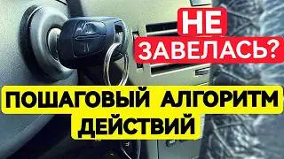 Не Заводится Авто? Алгоритм Диагностики по Шагам