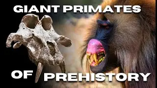 Giant primates of prehistory