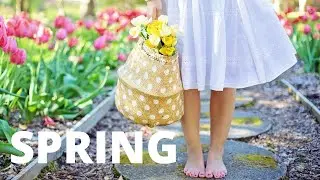 Vivaldi Four Seasons: Spring (La Primavera) Violin 1st Movement Best Quality Audio Version Flowers
