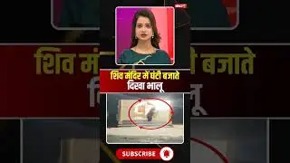 शिव मंदिर में घंटी बजाते दिखा भालू #cgnews #viralvideo #bear #animalshorts #viralnews #kanker