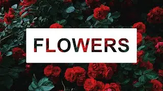 CSS Cut Text Effect | CSS Tutorial