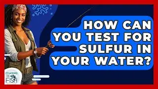How Can You Test For Sulfur In Your Water? - Chasing Big Fish