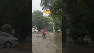 finny video #funny #funnyvideo #short #shortvideo #himachal