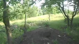 DSCN1176
