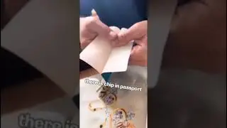 microchip in your passport