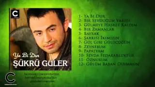 Şükrü Güler - Gülmeye Hasret Kaldım (Official Lyric)  ✔️