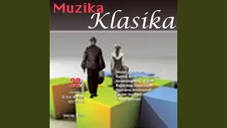 Beogradsko kolo