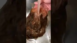 Dye wig using box hair dye