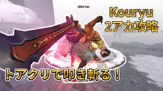 【FF11】Kouryu (Kirin) ２アカ攻略 / Kouryu - Dual Boxing