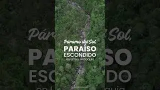 20 a&ntilde;os de conservaci&oacute;n de nuestra Reserva ProAves Colibr&iacute; del Sol