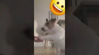 z kiedyś😚 Ciesze sie bo w wakacje raczej pojade na ob&oacute;z 😁😀😃