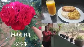 DIA DE CHUVA FORTE NO SÍTIO: Granizo, Peixe Frito e a Reação dos Cachorros no Lago!