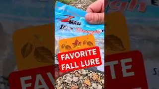 MAKE THEM BITE with THIS!!! 😲 #zman #fallfishing