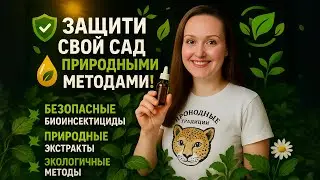 Защити свой сад природными методами