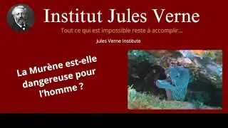 Attention ! La morsure de la Mur&egrave;ne de M&eacute;diterran&eacute;e peut &ecirc;tre redoutable...! / Institut Jules Verne