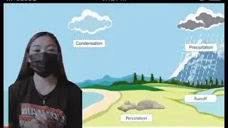 Hydrologic Cycle (precipitation & run off)