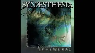 Synaesthesia 