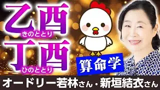 【算命学】乙酉・丁酉｜六十花甲子・酉金編