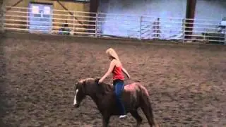 Bridleless Peruvian demo