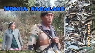 Hunting fish in the river