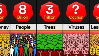 Comparison: How Many ____ in the World (Numbers to Infinity)