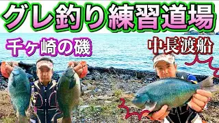 グレ釣りジムで【グレトレ】した結果！【中長渡船】