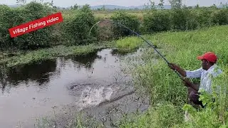 FLOAT TRADITIONAL 🎣 Single Hook Fishing For Big Tilapia and Big CatFish The in Village Fishing video