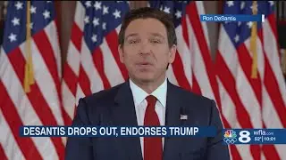 'He had no choice:' Gov. DeSantis drops out, endorses Trump