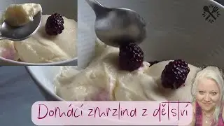 Domácí zmrzlina jako z dětství - žádný rostlinný tuky (childhood ice cream without vegetable fats)
