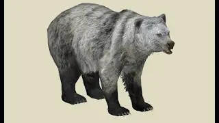 The Last Mexican Grizzly Bear: Mexico Unexplained, Episode 264