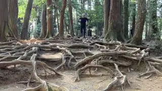 鞍馬寺2501-2