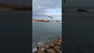 دخول الليالي. ونزول. حلامة. والصنور. للمصايد