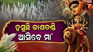 Nature Adorns Herself in Kashatandi Blooms to Welcome Maa Durga | କାଶତଣ୍ଡି ଫୁଲରେ ସଜେଇ ହୋଇଛି ପ୍ରକୃତି