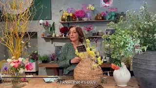 Traveling Tomatoes - Urban Agriculture in Testaccio