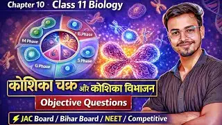 Class 11 Biology 🧬| कोशिका चक्र और कोशिका विभाजन 🔄 | Objective Questions (Part-2) 📝 |Vidyakul Vision
