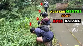 BELUT RAKUS DAN GANAS MENANTI‼️TAPI JOKI INI MALAH KENA APES
