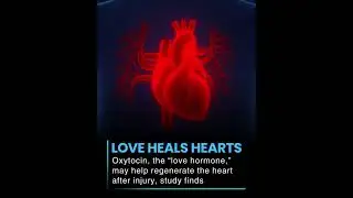 Please subscribe👨&zwj;🔬#OxytocinHealing#HeartRegeneration#MedicalBreakthrough#LoveHormone#health#usa🌎