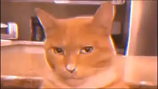 MEW. (remix)