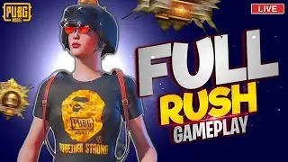 Live streaming of APEX NINJA