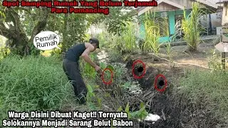 Pemilik Rumah Baru Sadar Kalau di Samping Rumah Banyak Belut Besar Bersarang