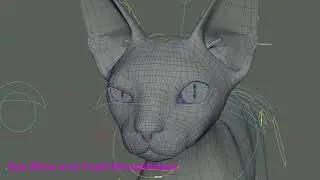 Tech Demo Cat Rig